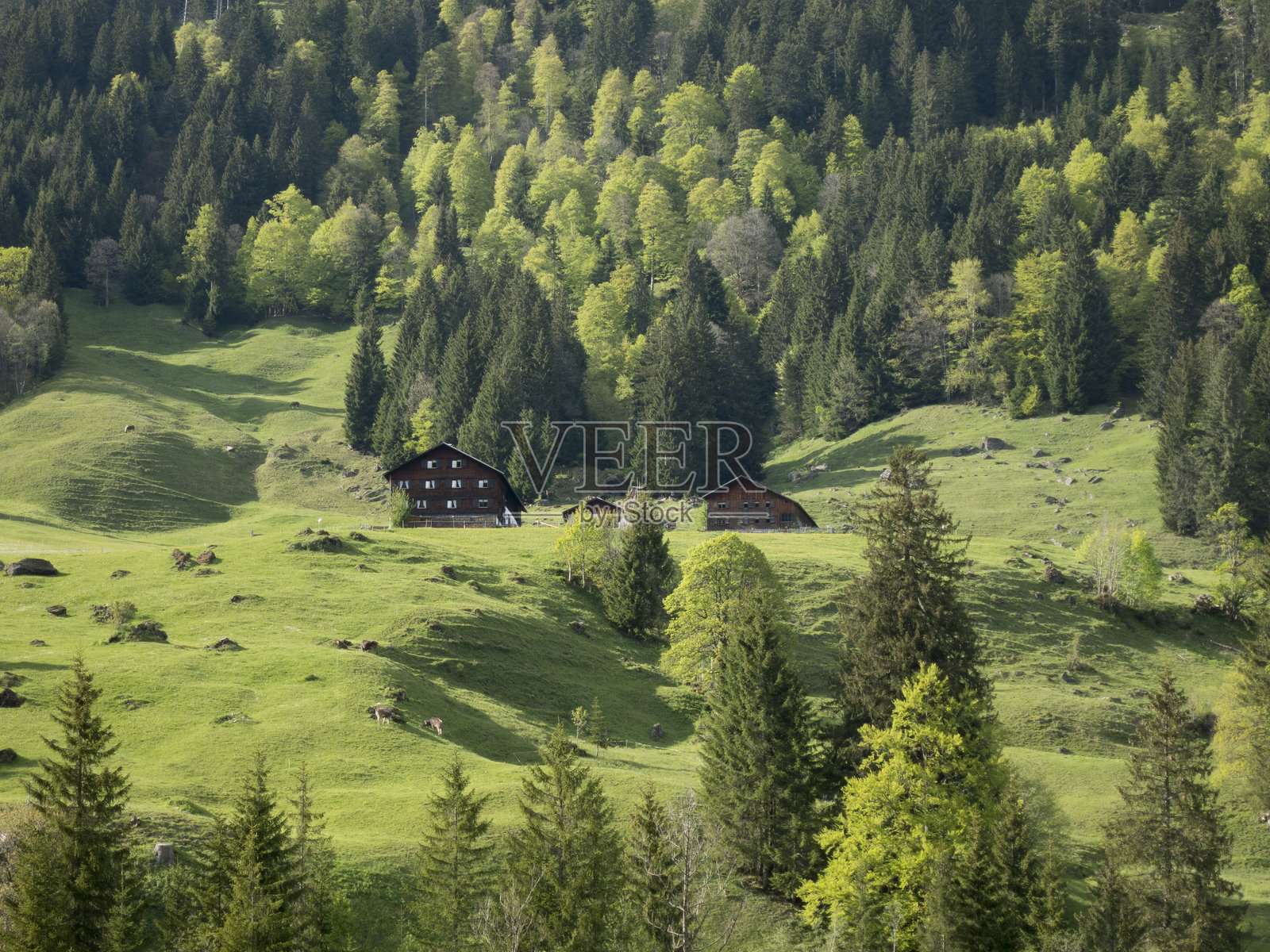 奥地利的肖嫩巴赫照片摄影图片