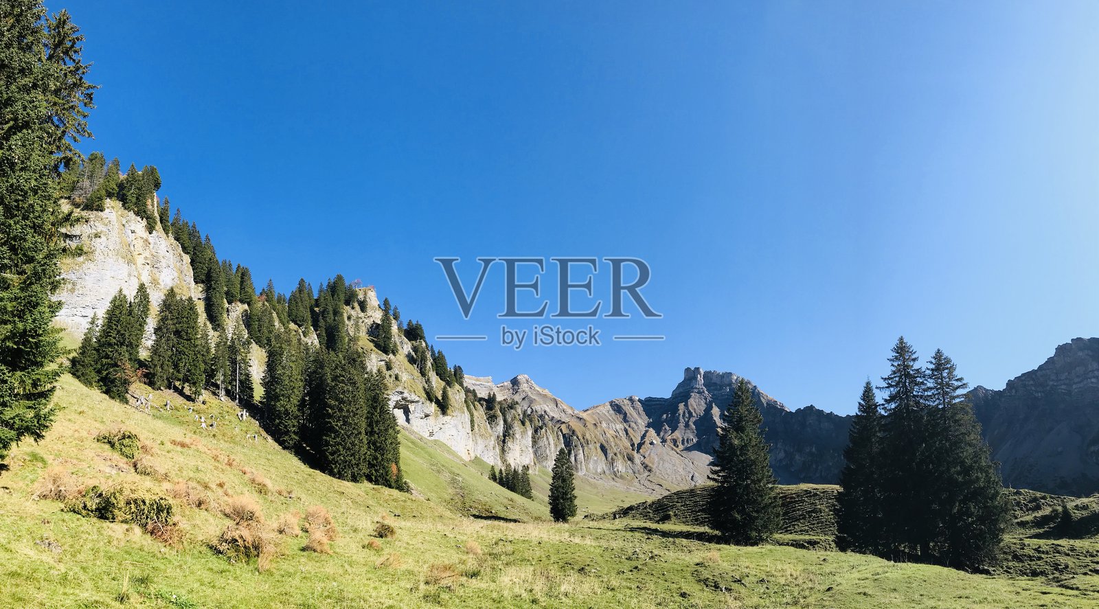 奥地利的肖嫩巴赫照片摄影图片