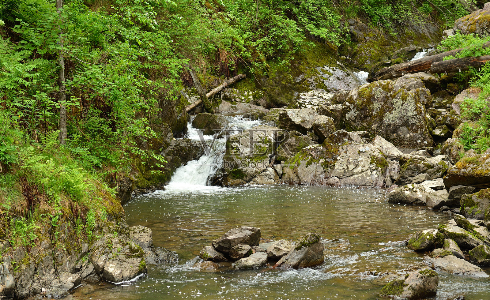 一股暴风雨河流的瀑布从石碗中倾泻而出，穿过茂密的夏季森林。照片摄影图片