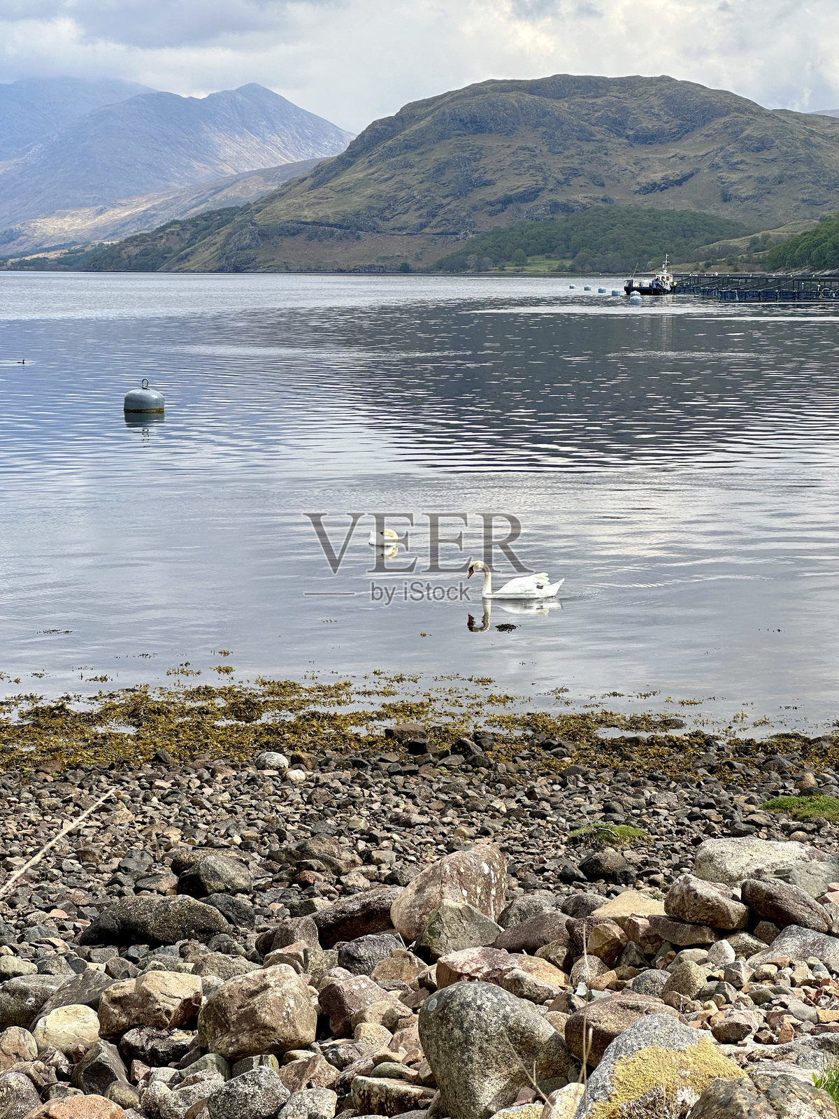 埃蒂夫湖照片摄影图片