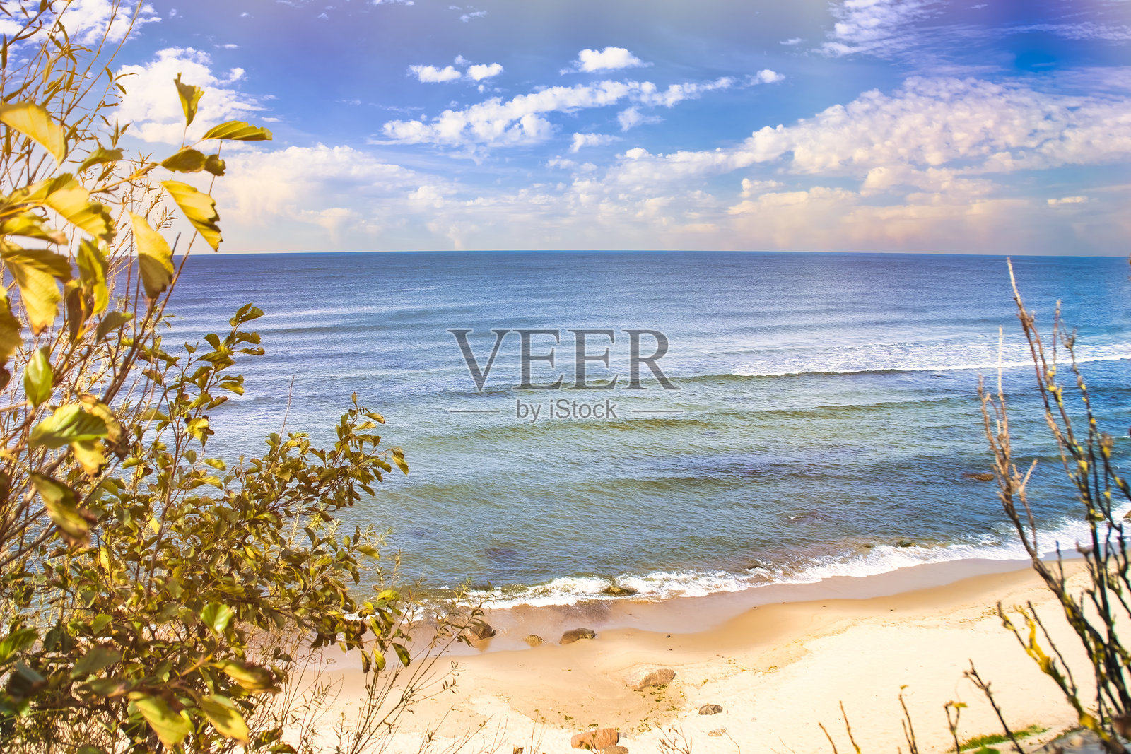 沙滩上有绿色灌木丛。海边坡道上的树木和灌木。照片摄影图片