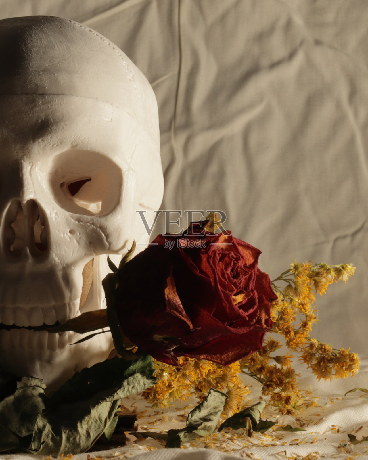 情人节照片摄影图片