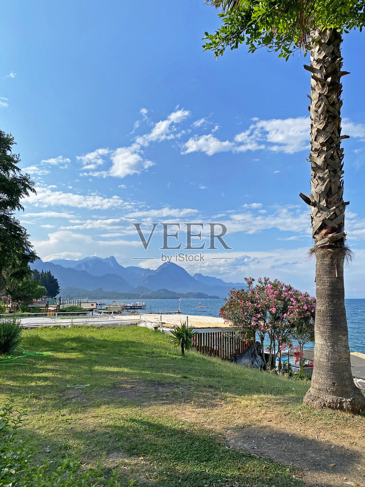 土耳其。凯梅尔海滨长廊上，棕榈树前方的山脉景观。照片摄影图片