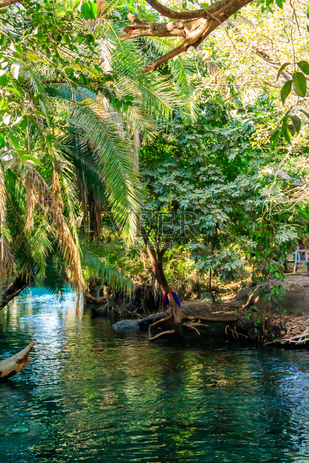 坦桑尼亚莫希附近的Chemka温泉（Kikuletwa）照片摄影图片