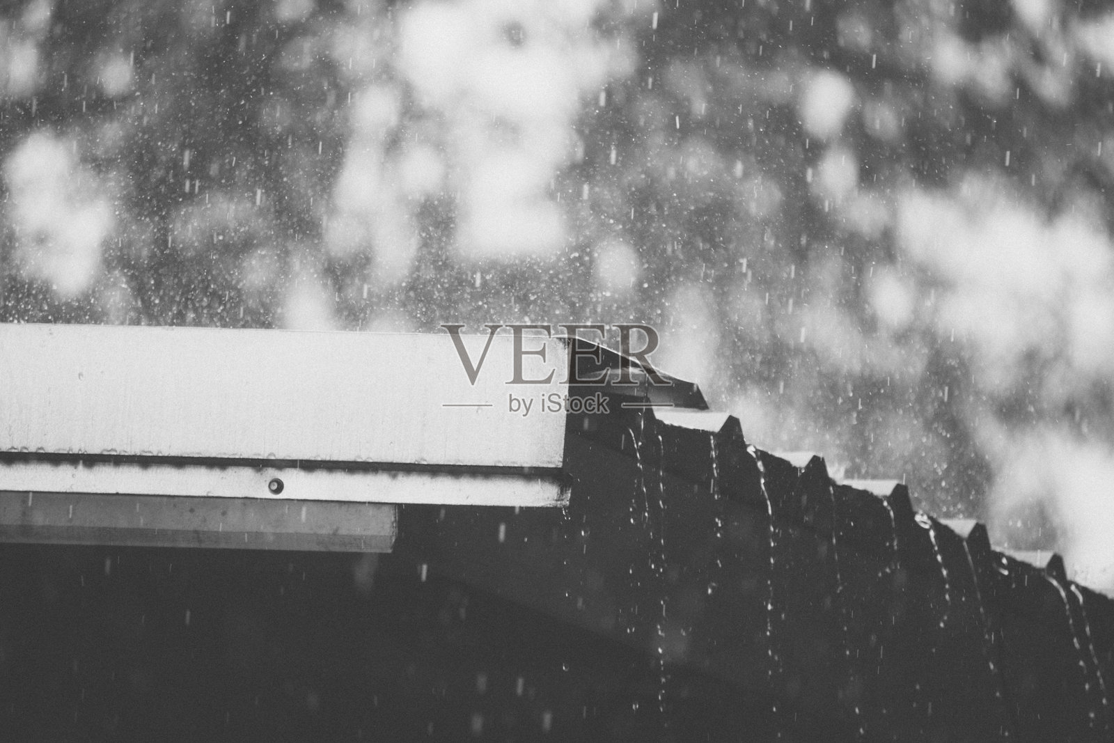 雨天照片摄影图片