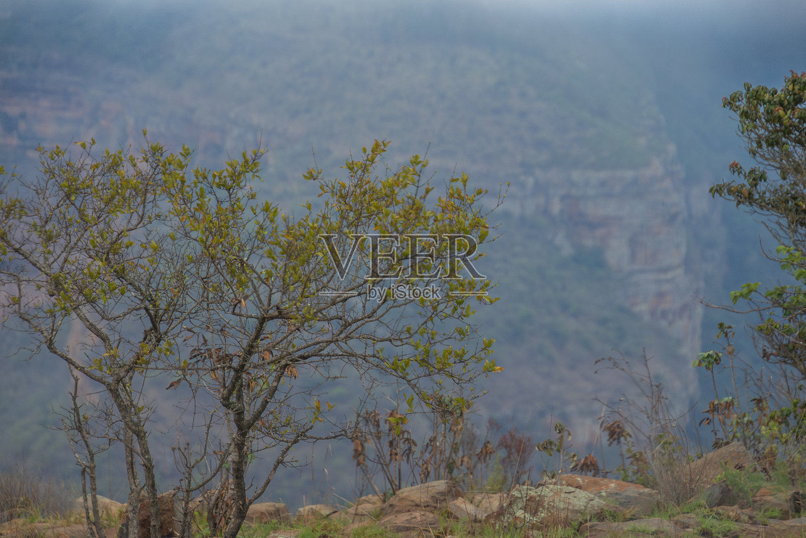 南非布莱德河峡谷中的雾气照片摄影图片
