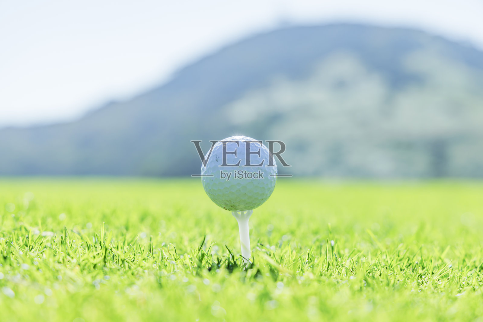 美丽的高尔夫球场和白色的球照片摄影图片