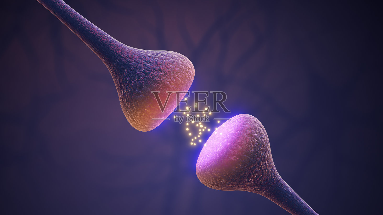 神经通路中驱动活动的突触信号照片摄影图片