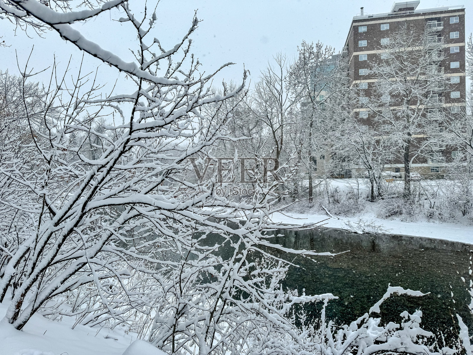 阿尔伯塔省卡尔加里埃尔博河小径的冬季雪景照片摄影图片