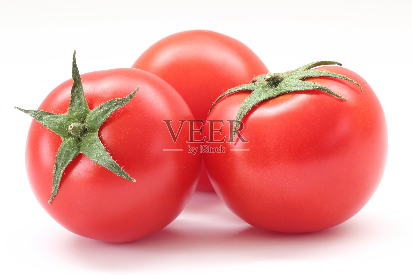中等大小的番茄在白色背景上照片摄影图片