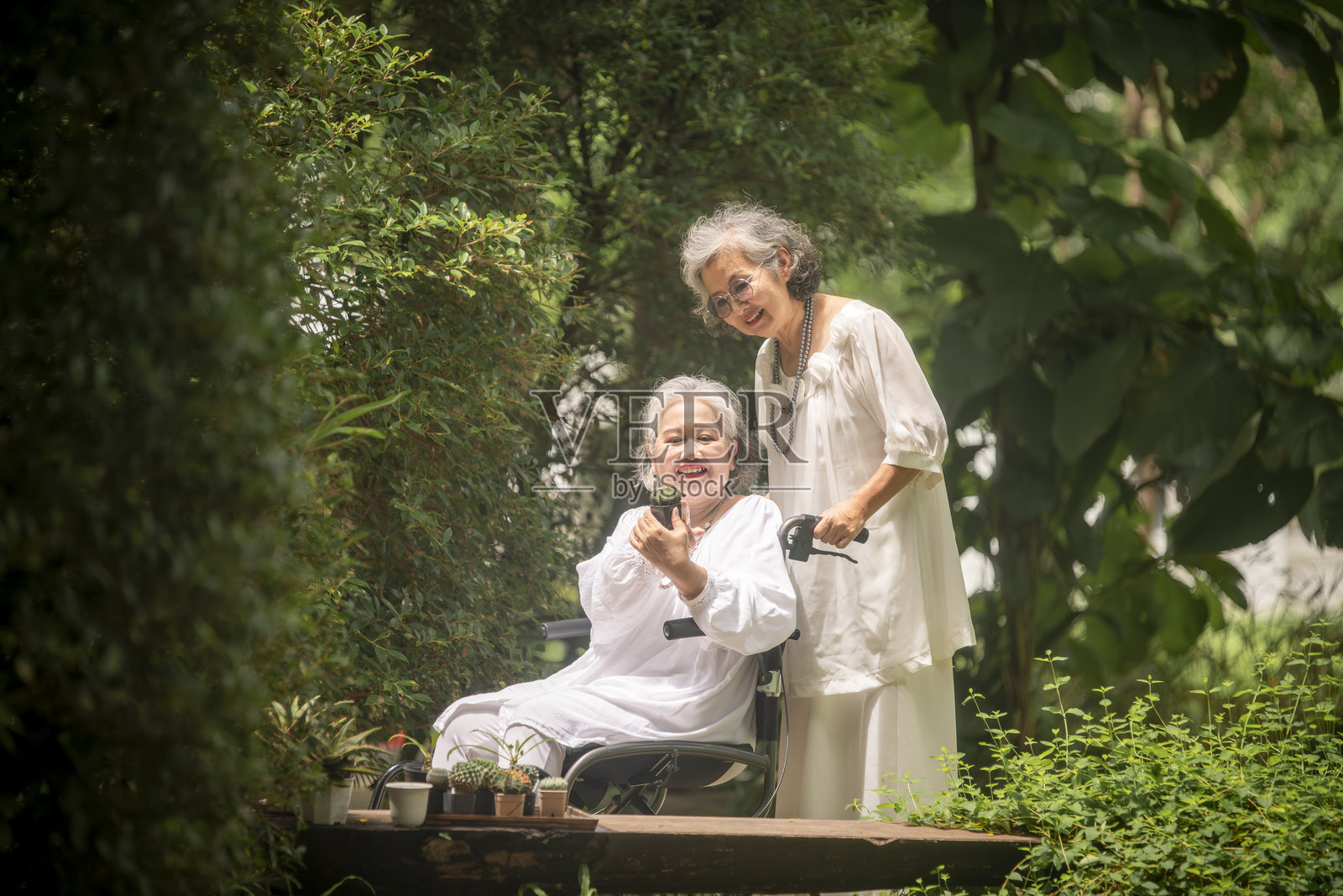 两位老年女性，一位坐在轮椅上，享受着在公园中共度的时光，周围是绿树成荫和宁静的环境。照片摄影图片