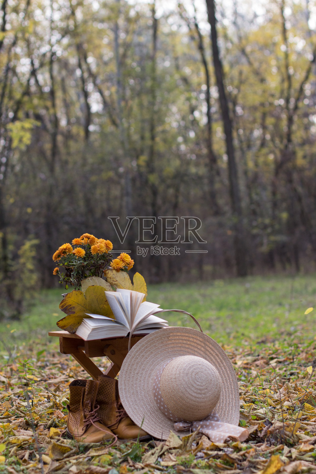 秋季组合的各种物品，如花朵、书籍、帽子、靴子，置于森林中的户外环境。照片摄影图片