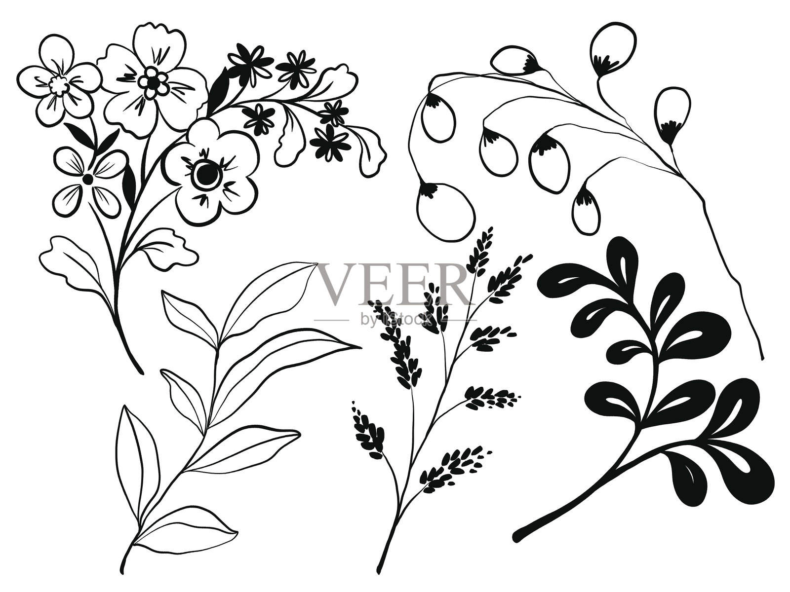 传统圣诞节轮廓绘图插图，包括冬青、槲寄生、圣诞树、玫瑰、花朵、叶子等圣诞装饰元素。照片摄影图片