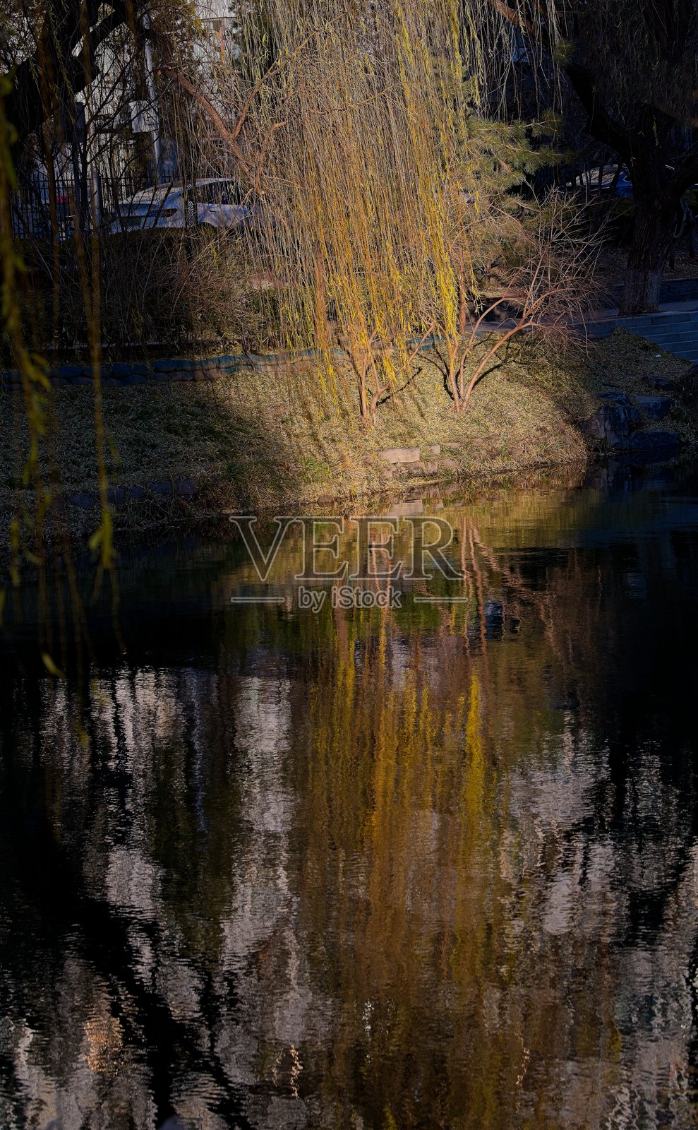 最后一缕阳光照片摄影图片