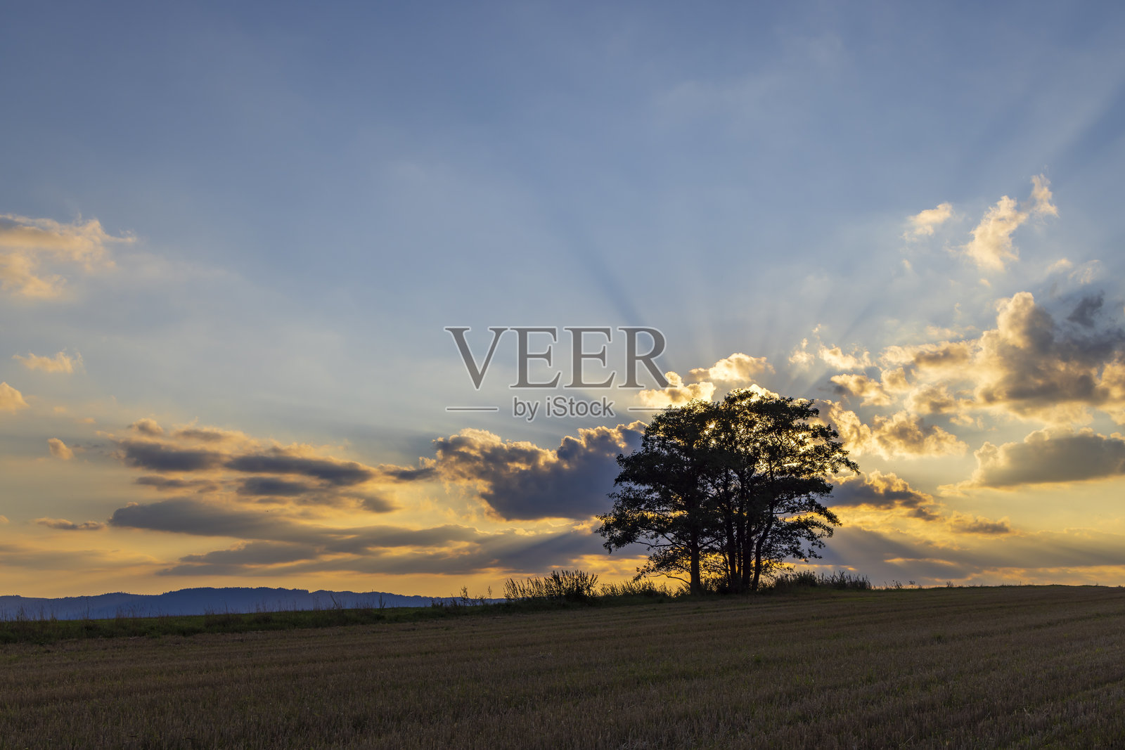 捷克共和国东波希米亚布罗乌莫夫斯凯斯滕自然保护区的风景照片摄影图片