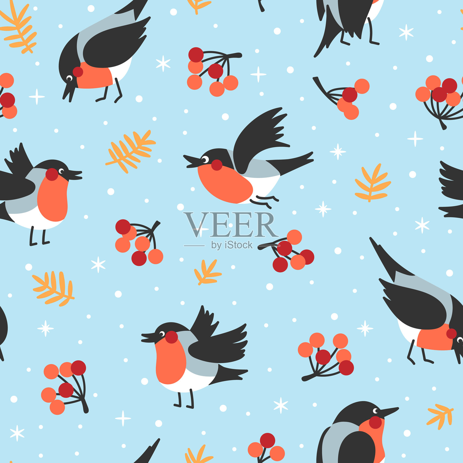 红腹灰雀与山楂果的背景插画图片素材