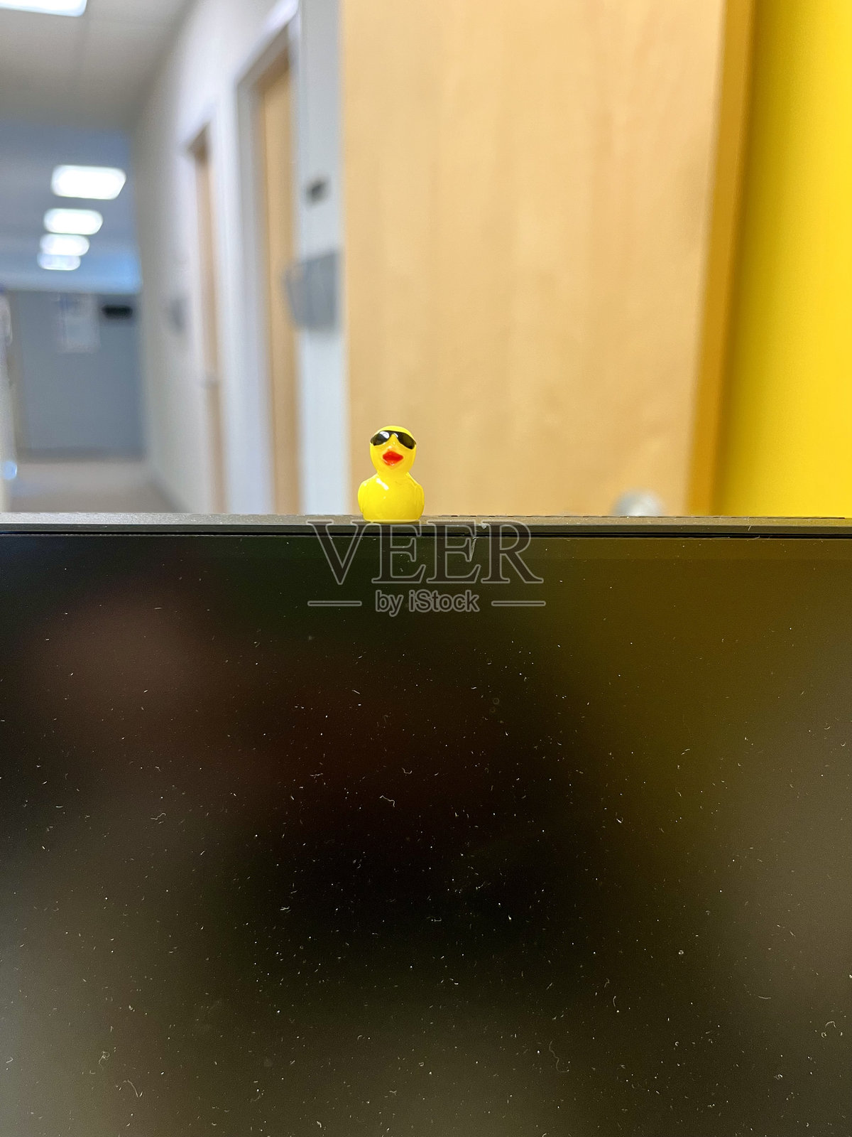 橡皮鸭照片摄影图片