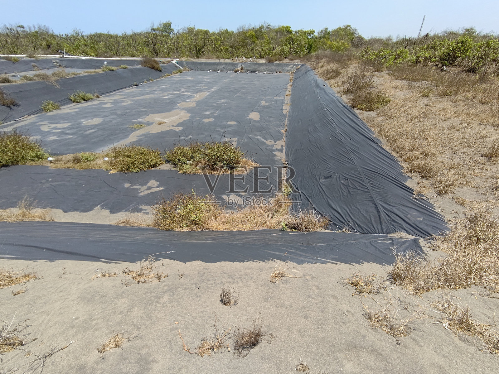 雅加达德波克海滩上被遗弃、荒芜且干燥的鱼塘区域照片摄影图片