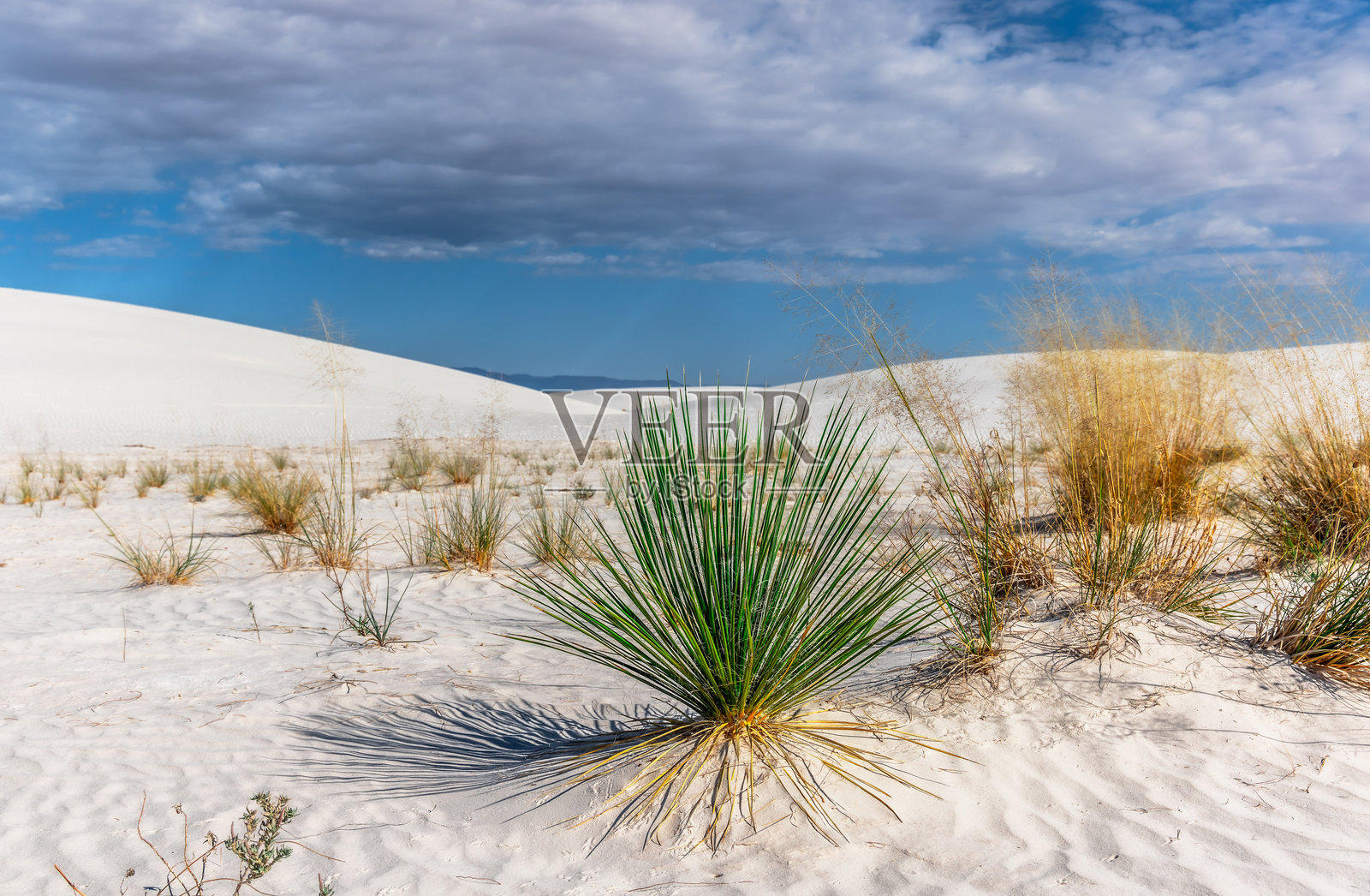 白沙国家公园 - 新墨西哥州，美国照片摄影图片