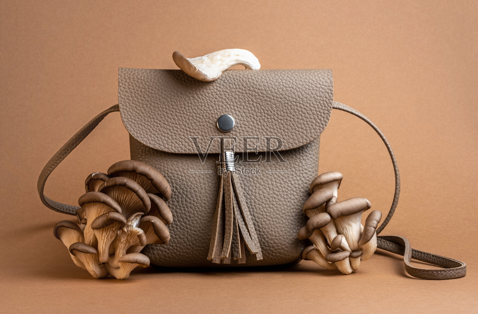 概念静物，背景为棕色，手袋和蘑菇。生物可降解的菌丝体材料概念。照片摄影图片