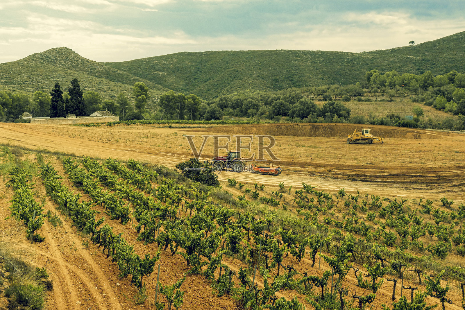 西班牙的葡萄园，拖拉机正在准备土地以种植和收获葡萄树，背景是山脉。照片摄影图片