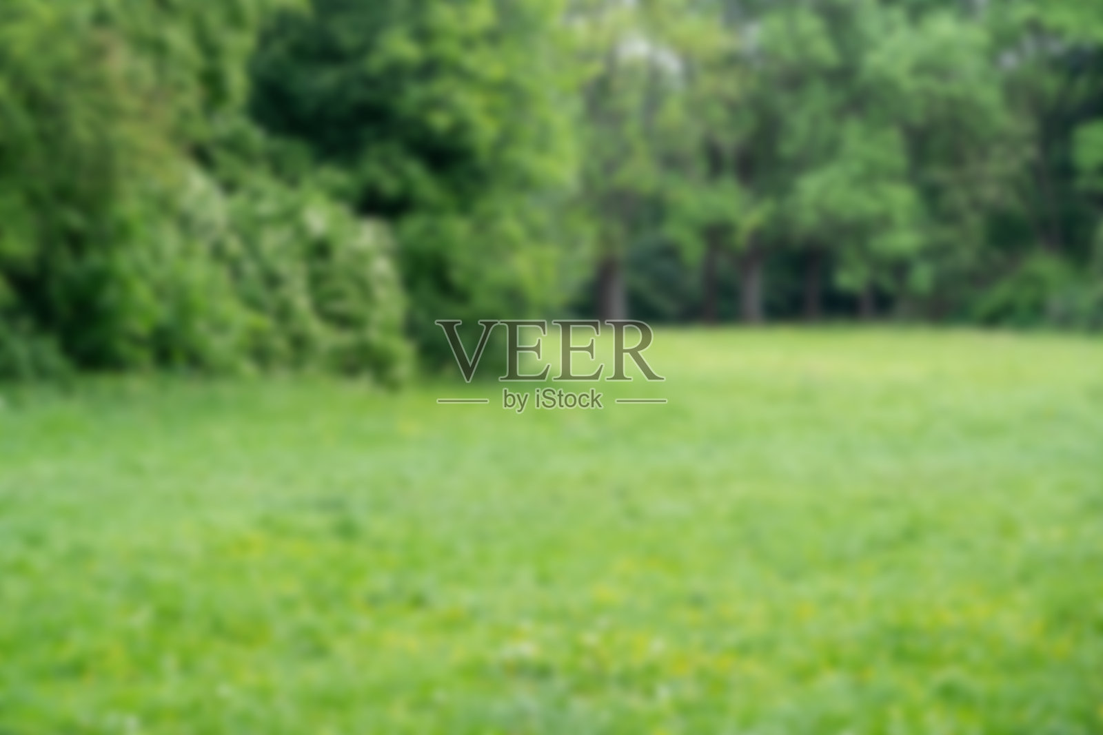 春季草地纹理背景，绿色春季风景带有空白空间，田园风光横幅照片摄影图片