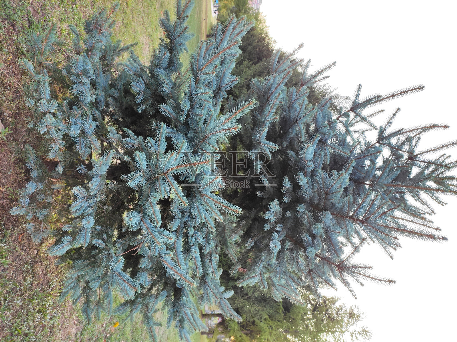 各种自然照片照片摄影图片