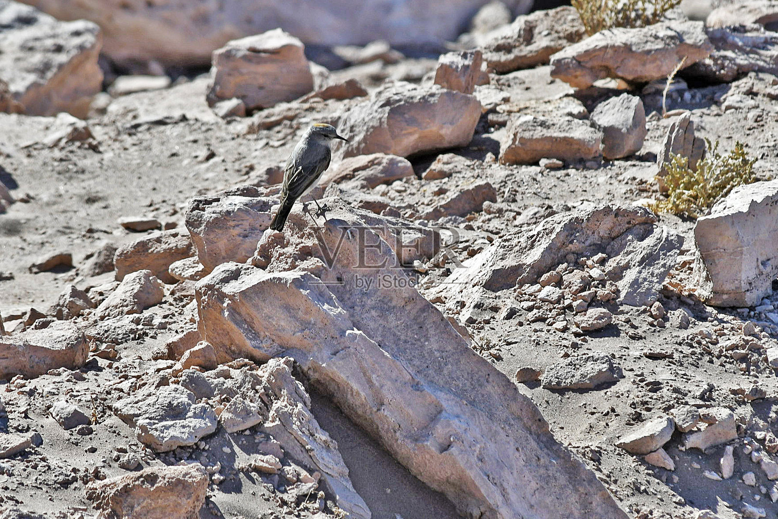 阿塔卡马沙漠和小镇的景观照片摄影图片