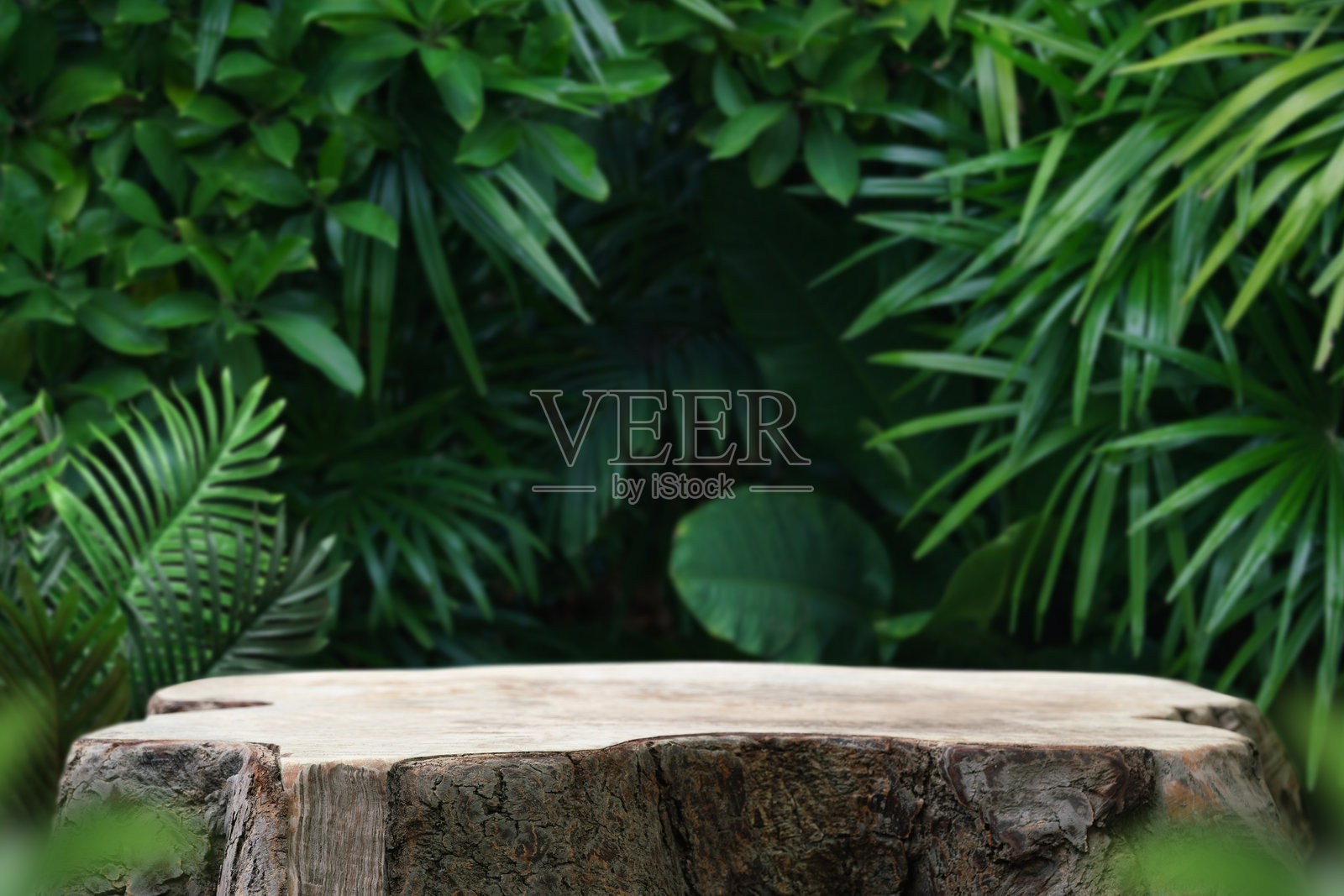 户外热带花园森林中的木质桌面讲台，模糊的绿色植物自然背景。自然产品展示台，丛林天堂概念。照片摄影图片