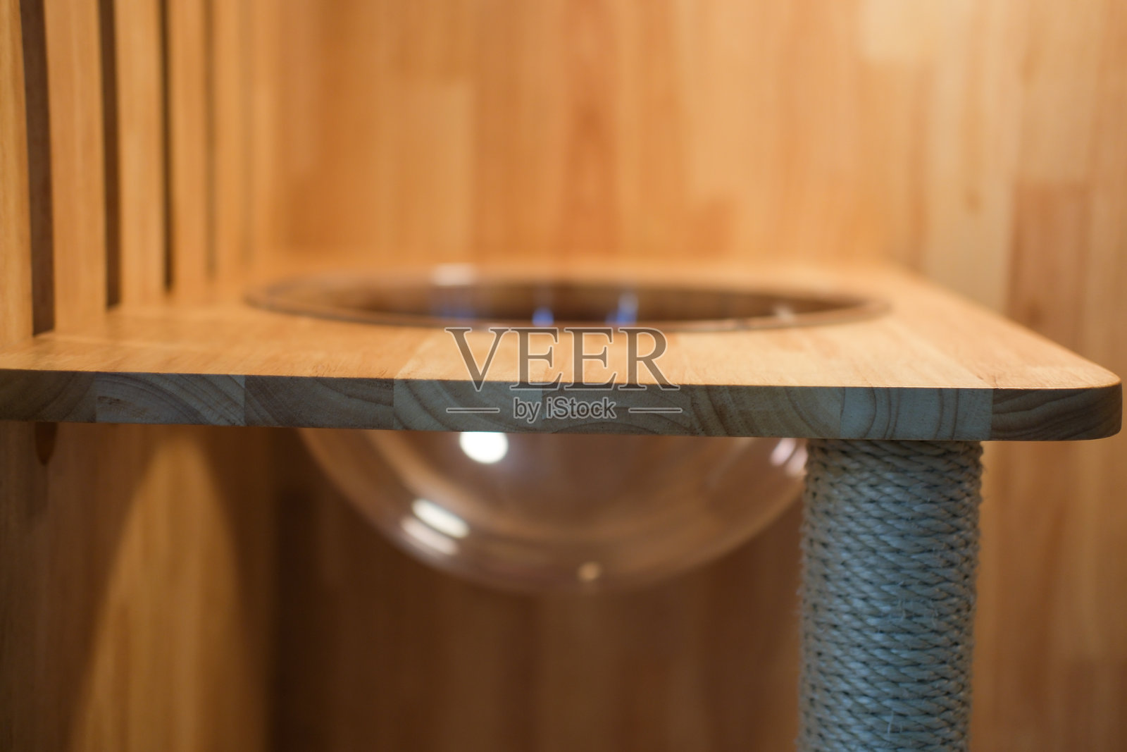 木箱中的透明泡泡碗供猫使用照片摄影图片