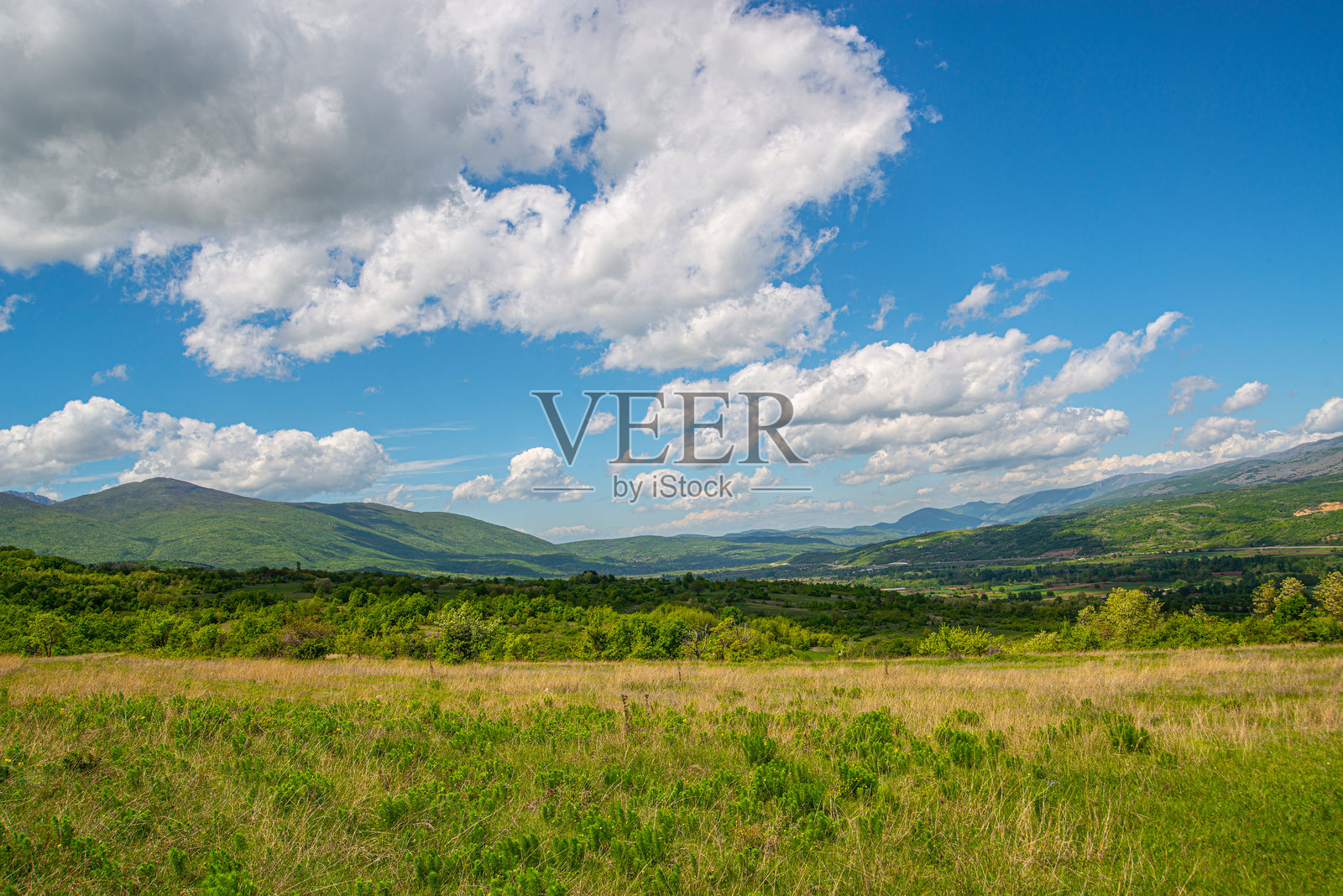 一片宽广的草地，前景有树木，背景是斯塔拉普拉尼纳山脉。天空湛蓝，白云飘荡。照片摄影图片