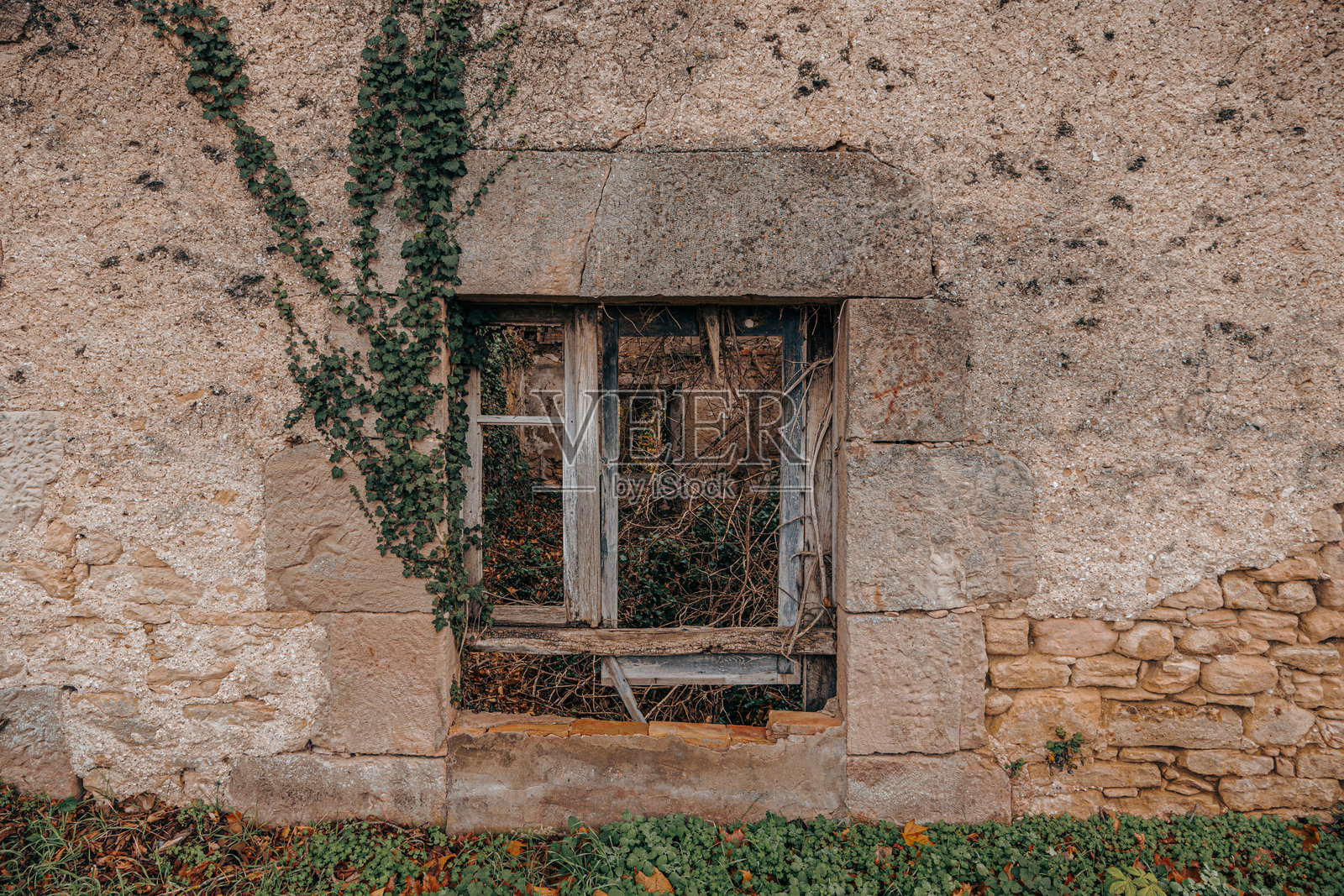 破窗户与生长在乡村墙上的常春藤照片摄影图片