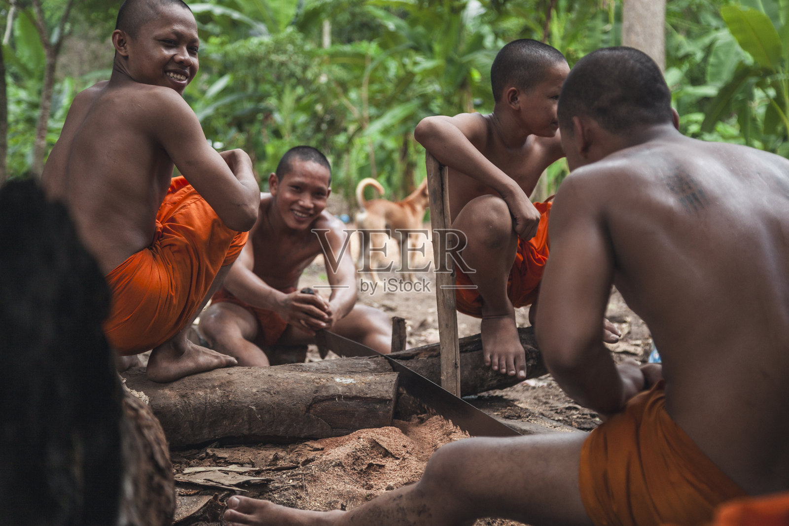 在柬埔寨吴哥窟附近，僧侣们从事木工活动照片摄影图片