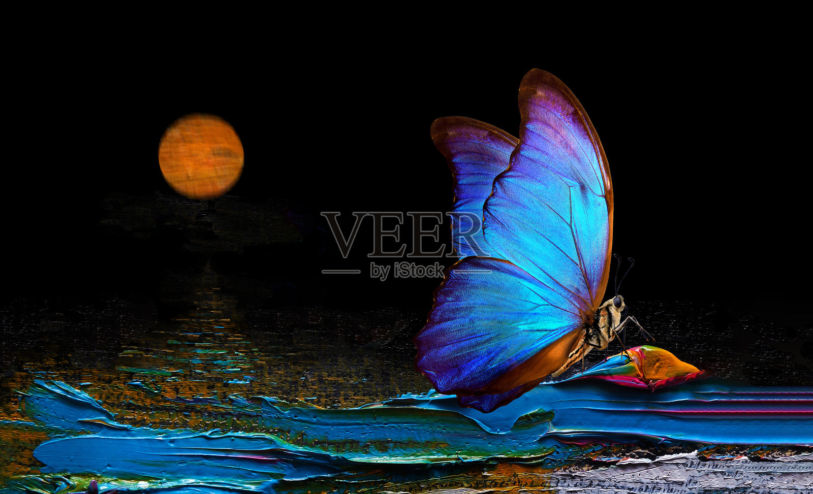 月光下波浪上的蓝色闪蝶照片摄影图片