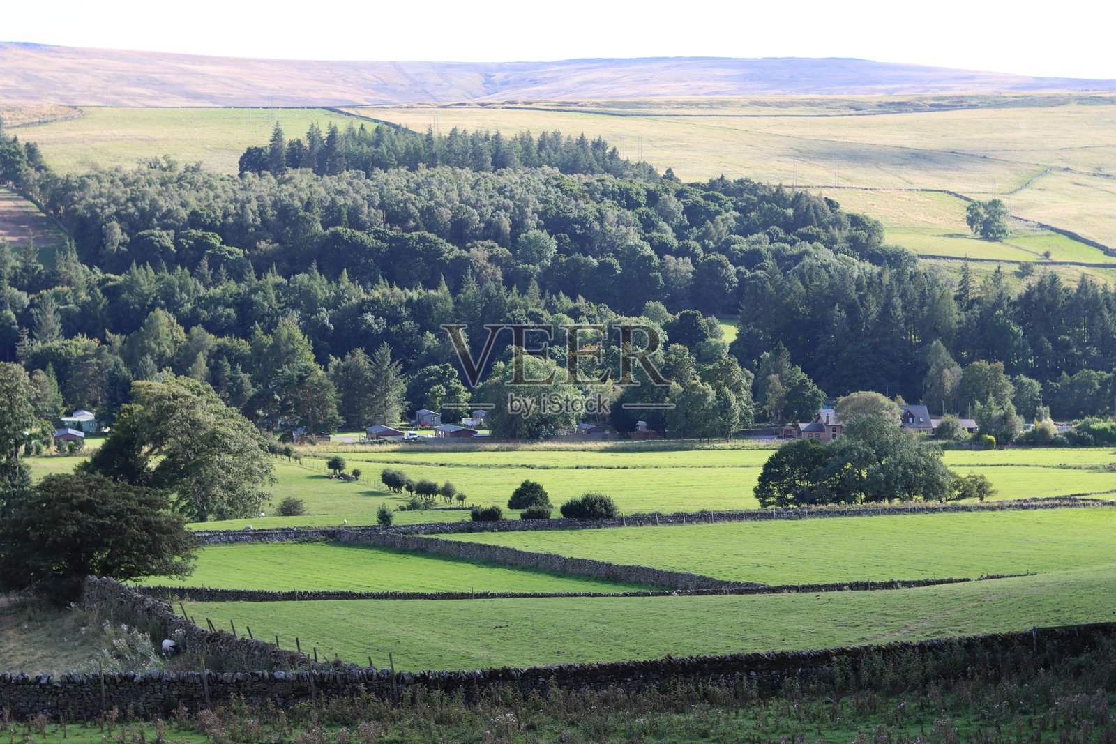 夏季起伏的乡村风光照片摄影图片