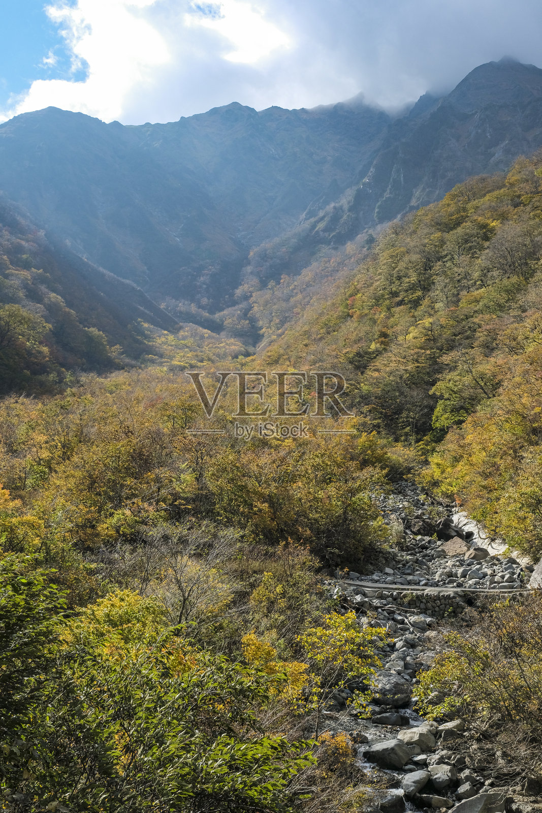 山中的秋季树叶照片摄影图片