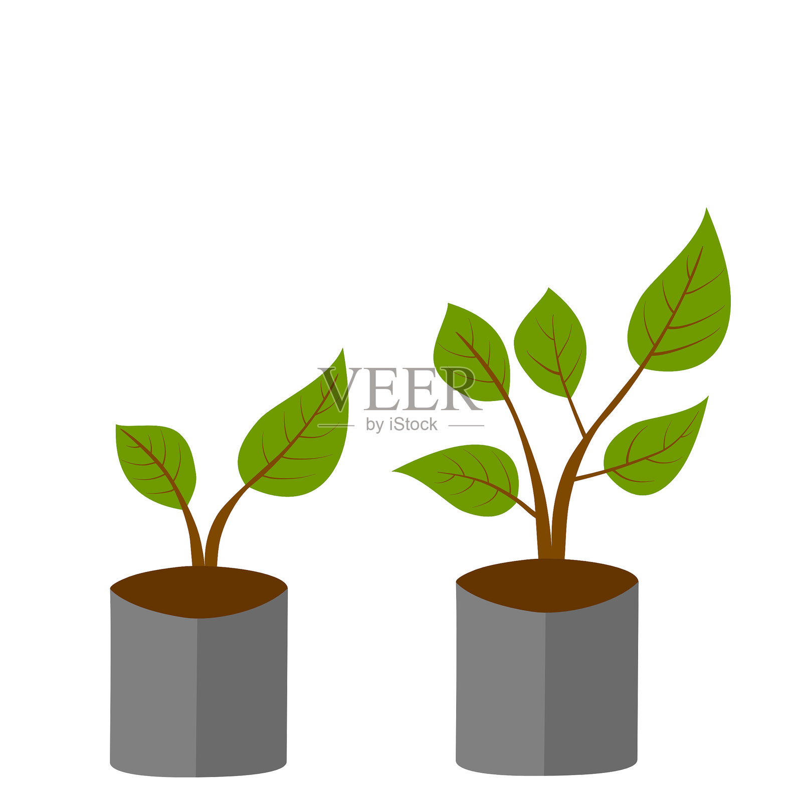 优质设计的植物盆栽幼苗。生长树木的象征，生态环境保护。土壤植物图标，白色背景上的矢量图。插画图片素材
