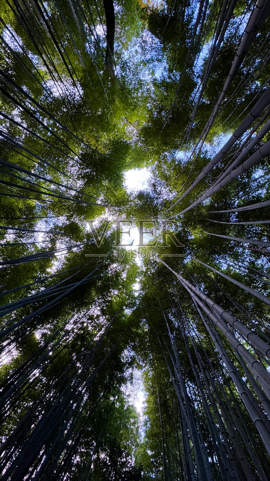 京都的美丽风景照片摄影图片