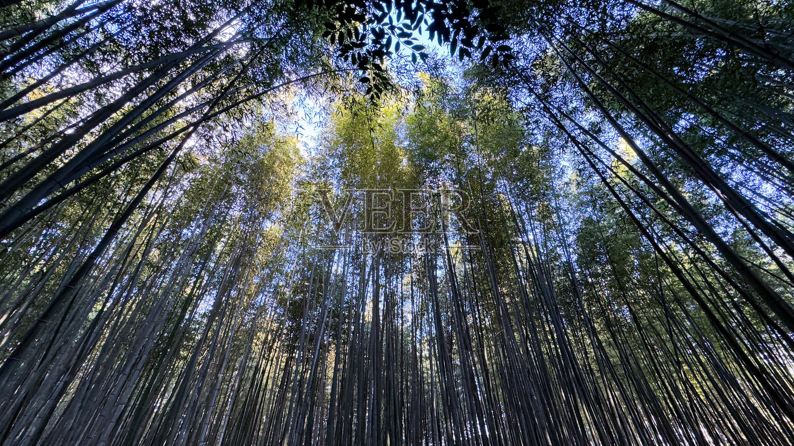 京都的美丽风景照片摄影图片