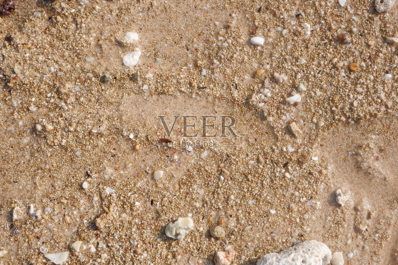 沙滩沙粒纹理用作背景照片摄影图片