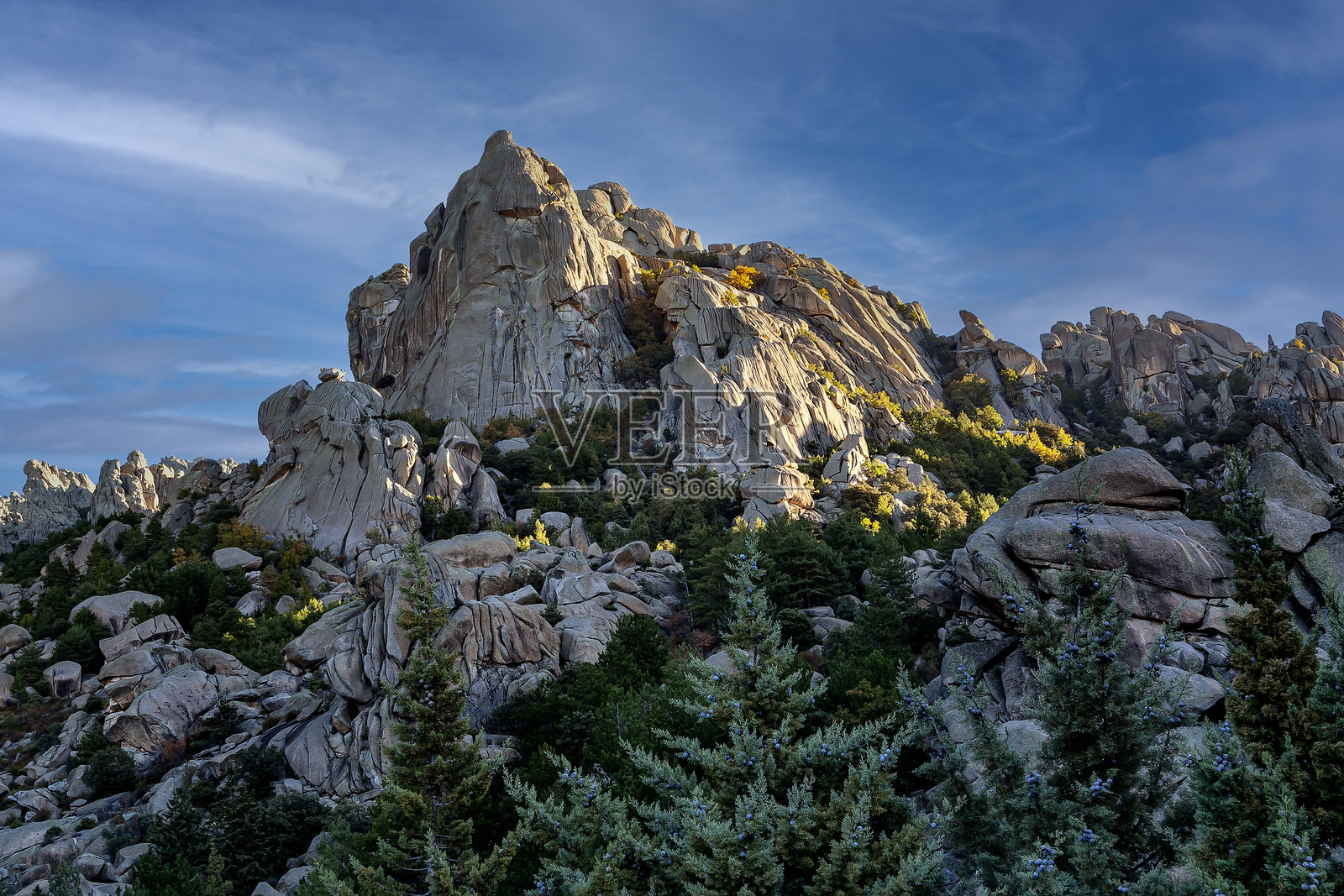 拉佩德里萨的鸟巢风险照片摄影图片