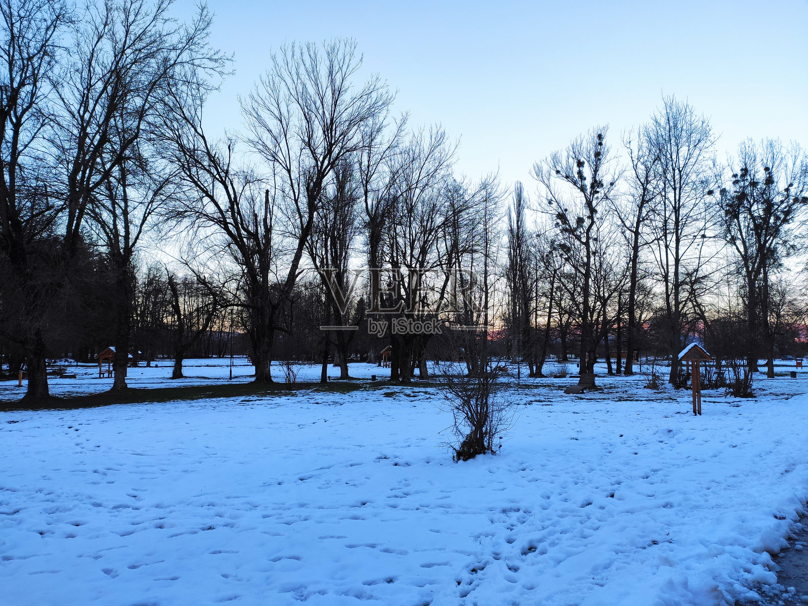 各种自然照片照片摄影图片