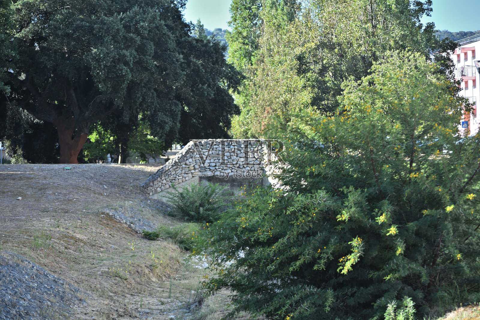 小城市的城市公园照片摄影图片