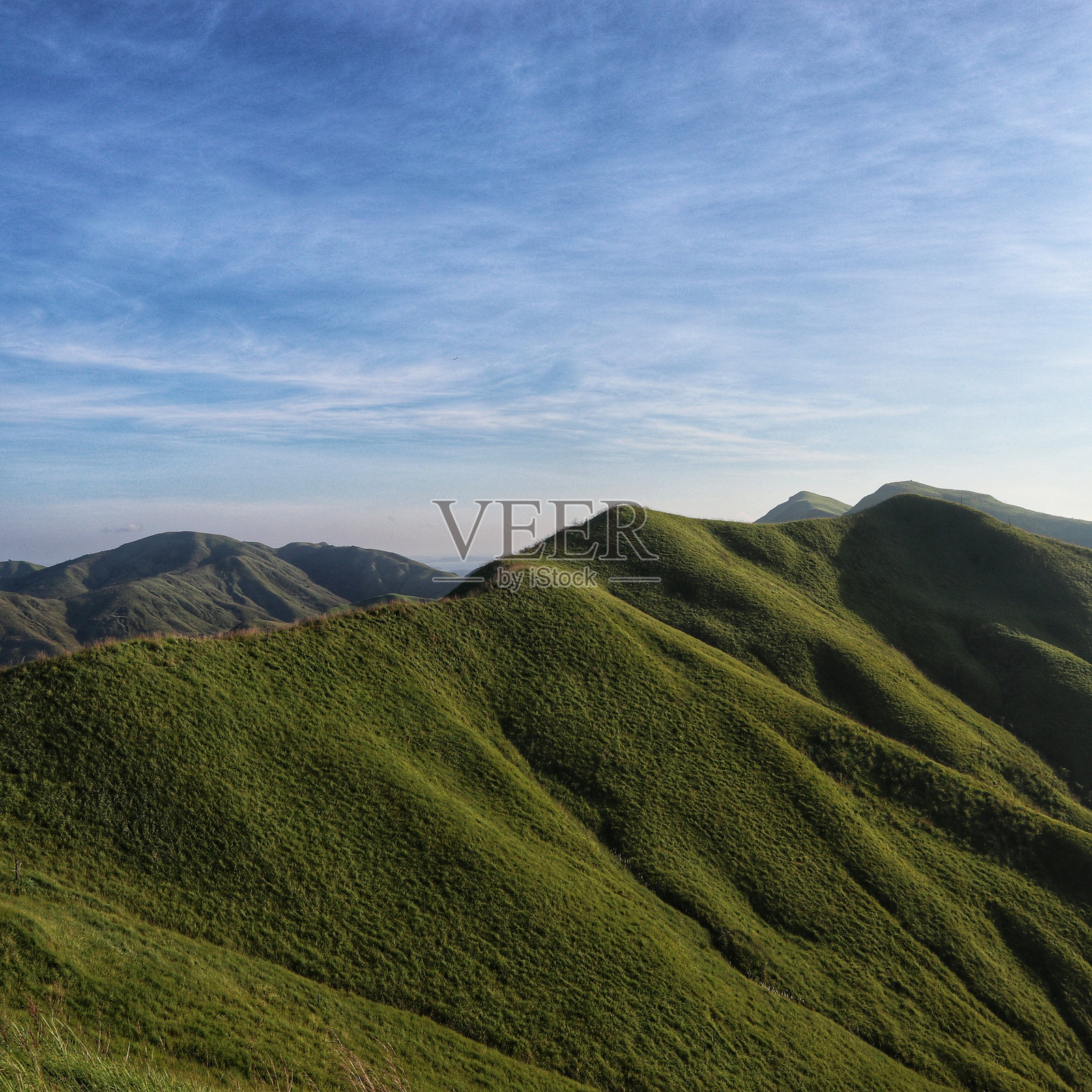 博霍尔的阿莉西亚郁郁葱葱的绿色山丘照片摄影图片