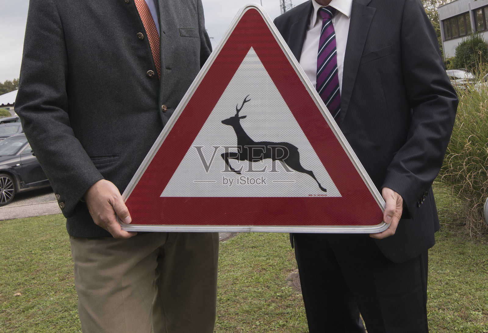 一只在草地上的鹿照片摄影图片