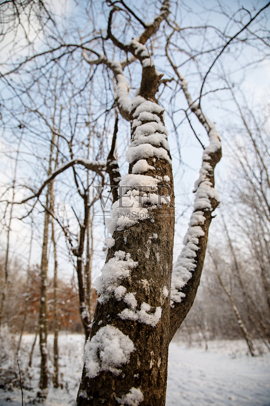冬季风景照片摄影图片