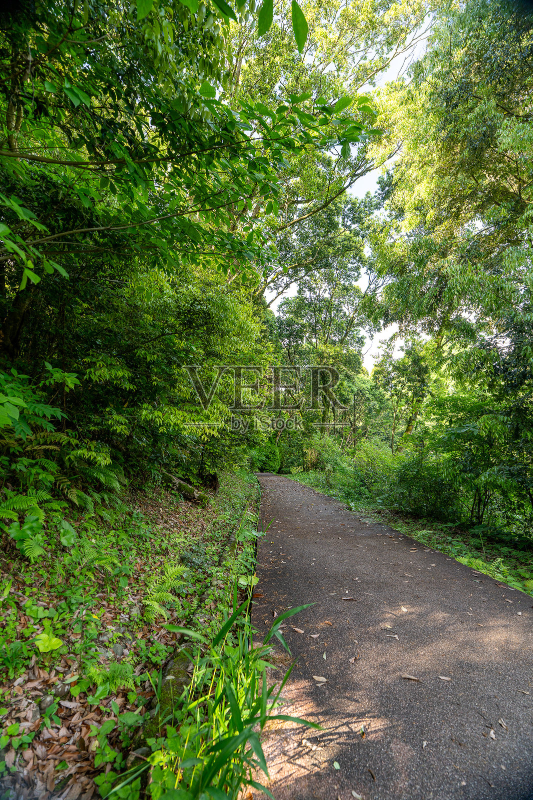 日本宫崎县宫崎市的平和台公园风景照片摄影图片