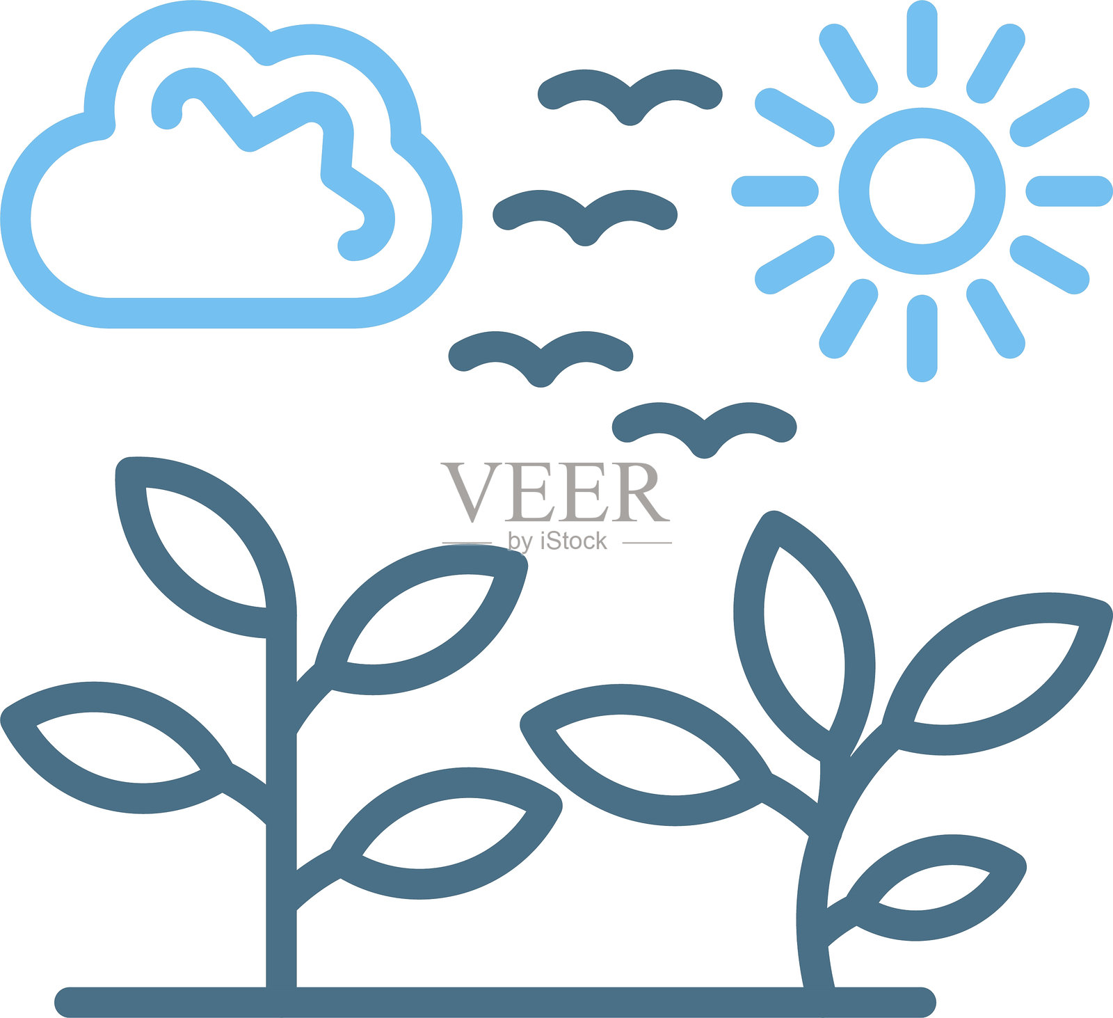 植物线条双色图标插画图片素材