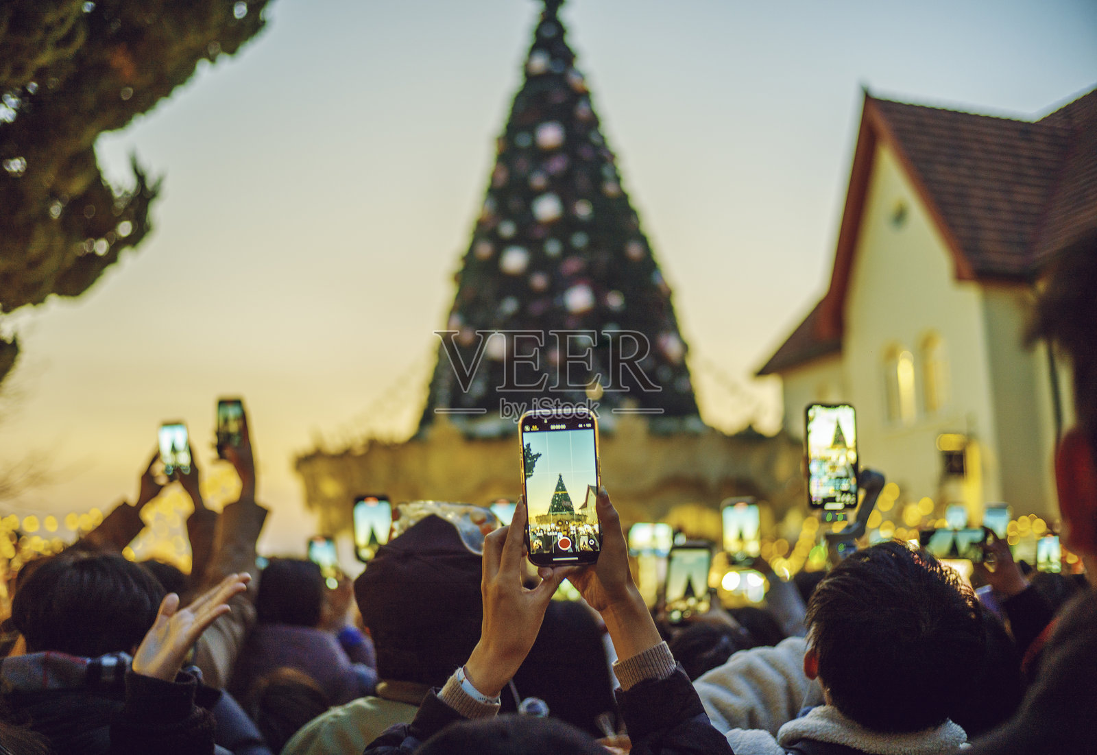 手机拍摄圣诞树照片摄影图片