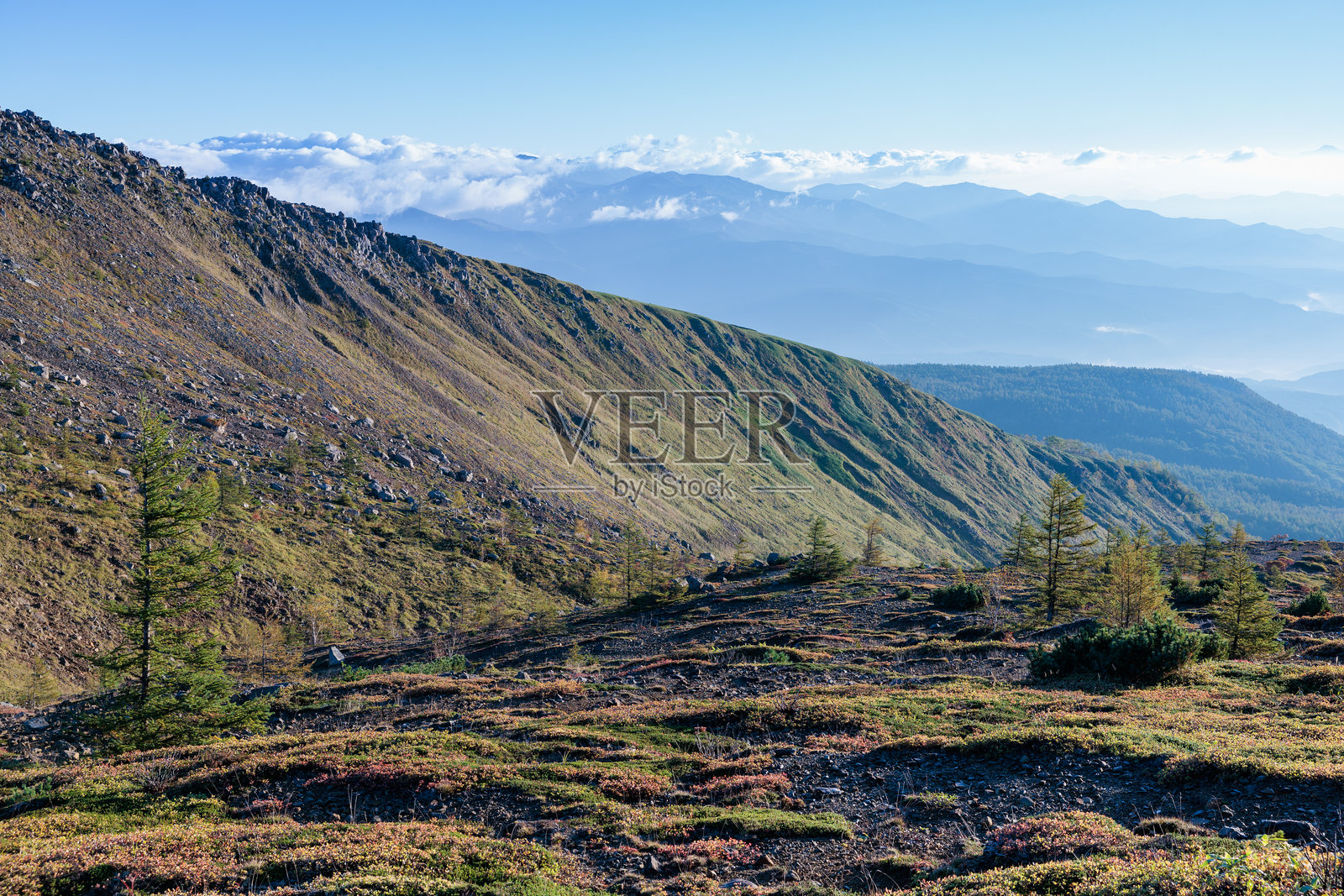 草津白根山南麓的山丘风景。照片摄影图片